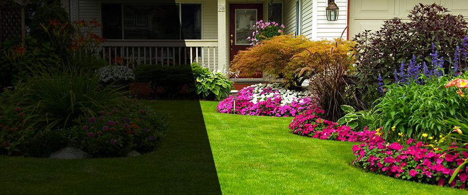 Chicora Landscapers