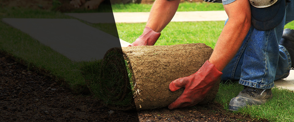 Chicora Landscapers